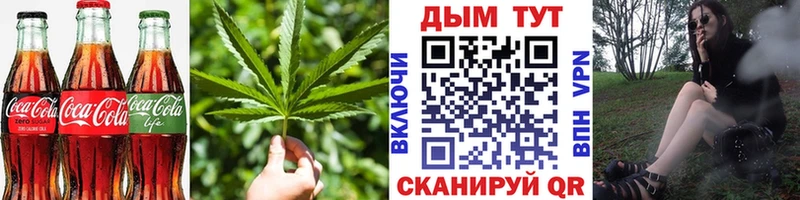 где можно купить наркотик  Мирный  Cannafood марихуана 