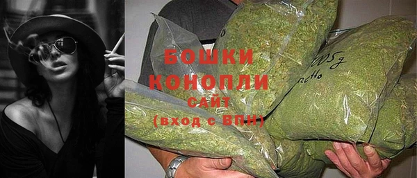 твердый Богородицк