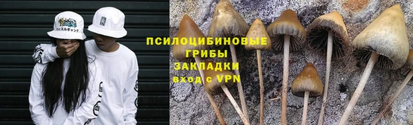 твердый Богородицк